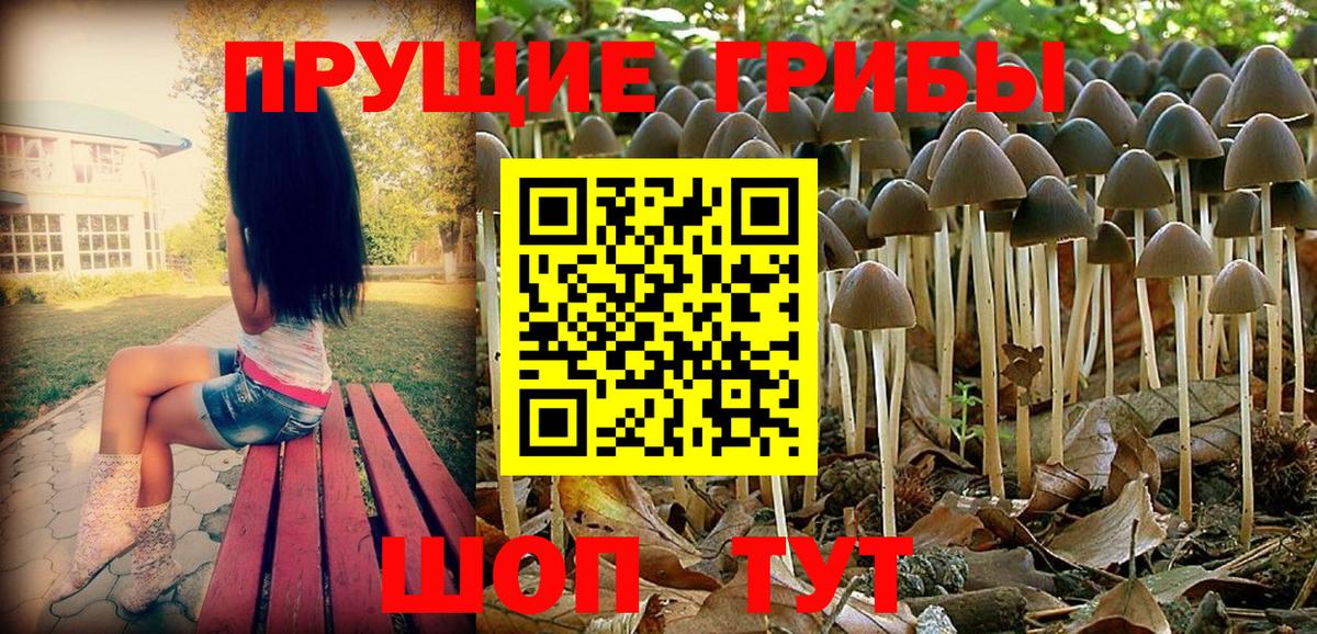 Йошкар-Ола  Галлюциногенные грибы MAGIC MUSHROOMS  закладка  Вход с VPN 